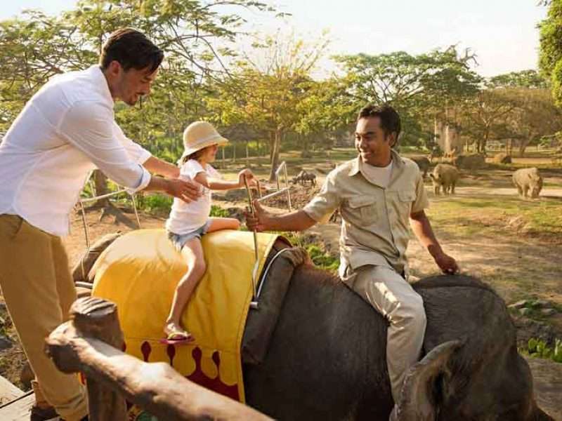 Bali Safari Marine Park Elephant Back Safari Package