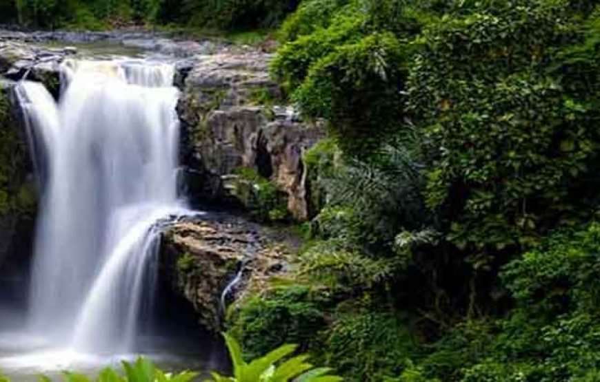 Full day Kintamani tour with Ubud village on pvt basis