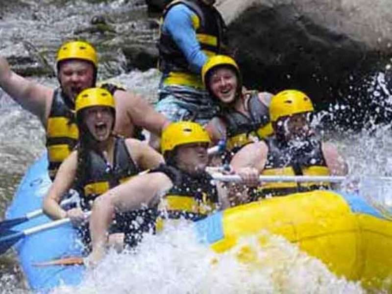 Full-Day Ayung River Rafting and Ubud Monkey Forest Tour