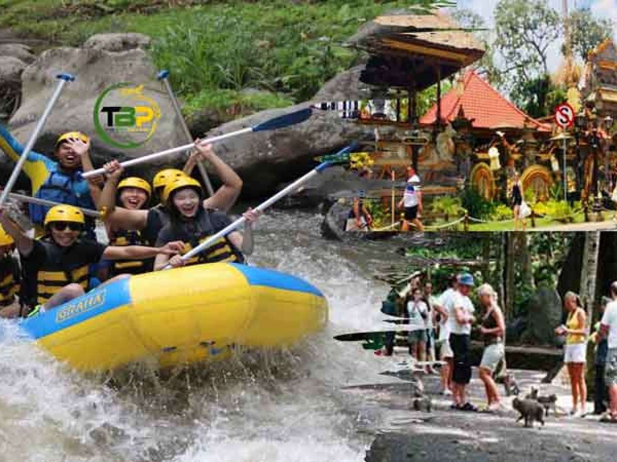 Full-Day Ayung River White Water Rafting and Ubud Tour