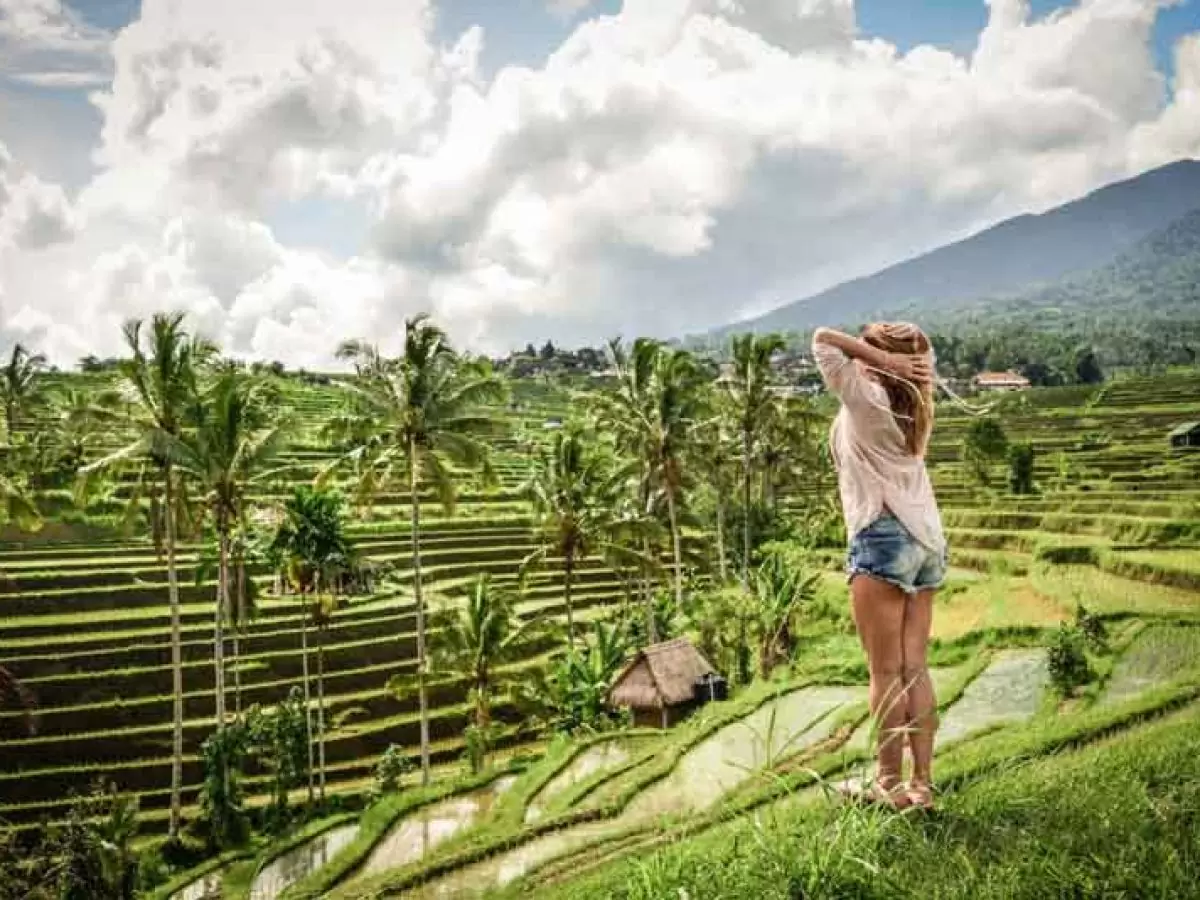 Bali Full-day Water Temples and Unesco Rice Terraces Tour