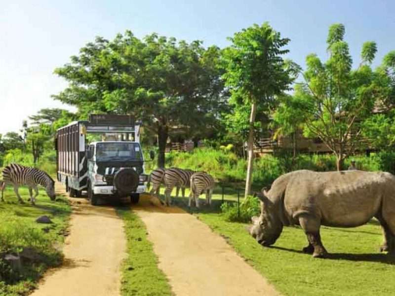 Jungle hopper package at Bali safari and Marine park