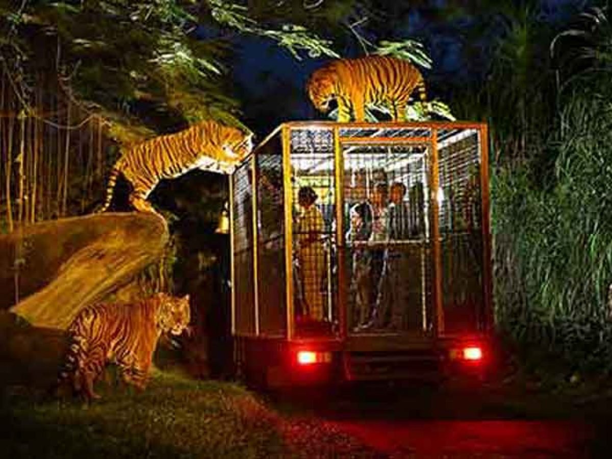 Night Safari package at Bali Safari and Marine Park