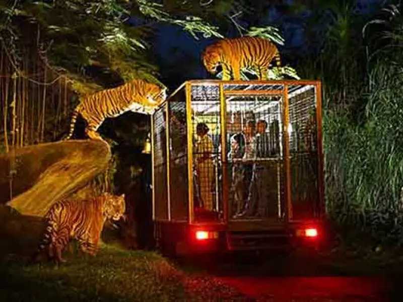 Night Safari package at Bali Safari and Marine Park