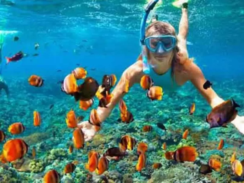 Nusa Penida Snorkeling and Island Tour