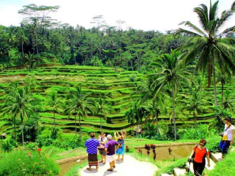 Tegalalang Rice Terraces