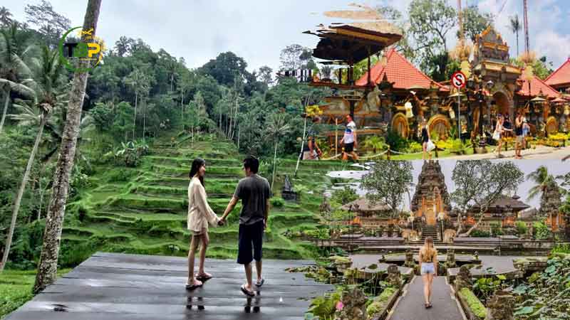 Private Ubud Waterfall Tour Rice Terrace and Monkey Forest