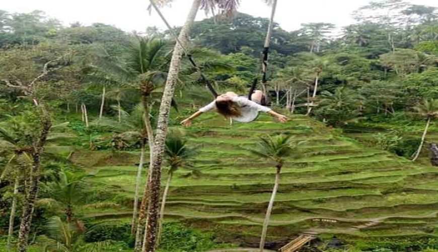 Tegalalang Rice Terrace Ubud