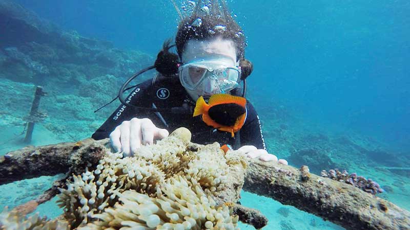 Snorkeling Blue Lagoon Bali