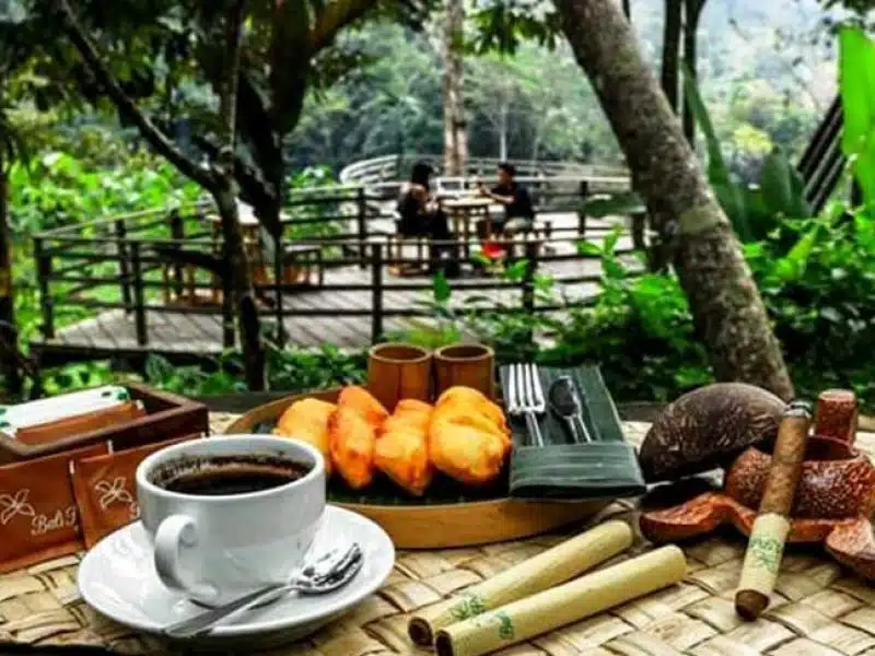 Agro Tourism of Bali Luwak Coffee