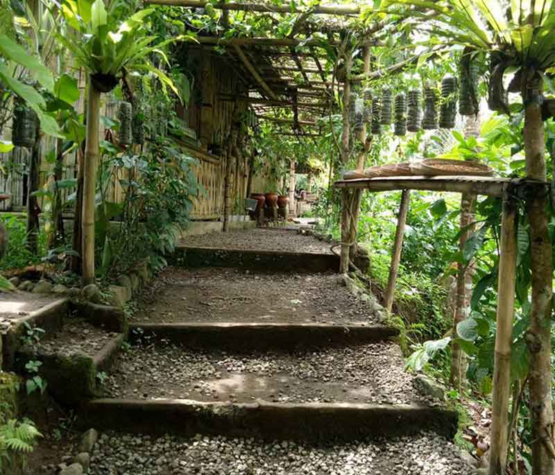 Agro Tourism of Bali Luwak Coffee