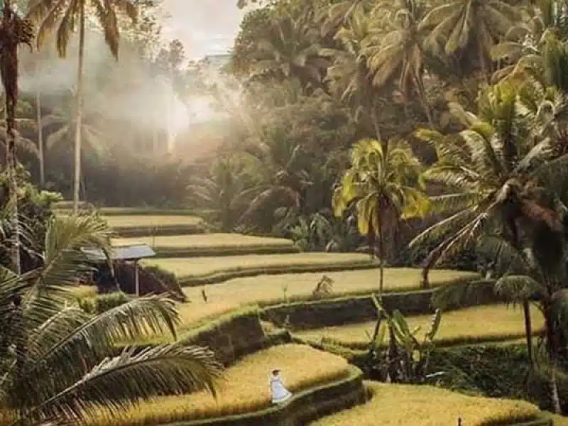 Best Ubud Day Trip