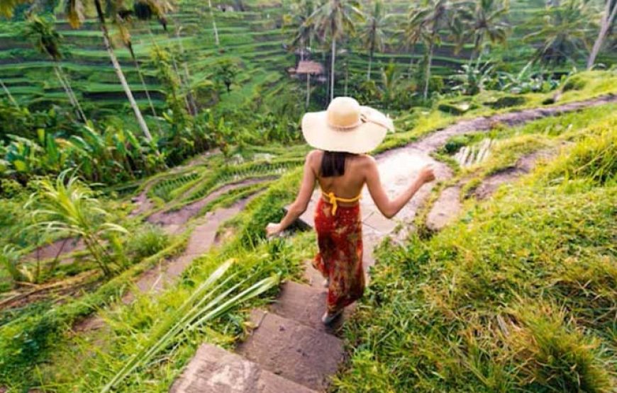 Ubud Waterfall, Rice Terraces and Monkey Forest Tour