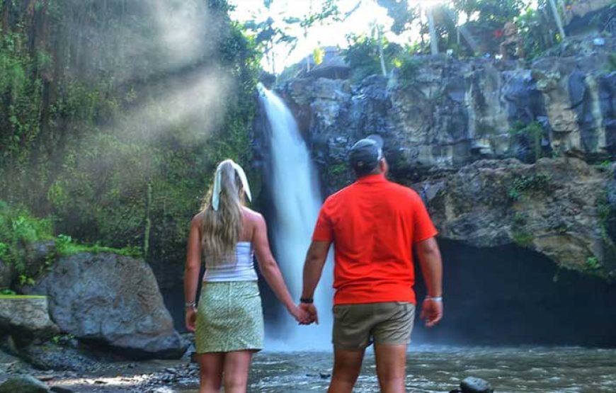 Ubud Waterfall, Rice Terraces and Monkey Forest Tour