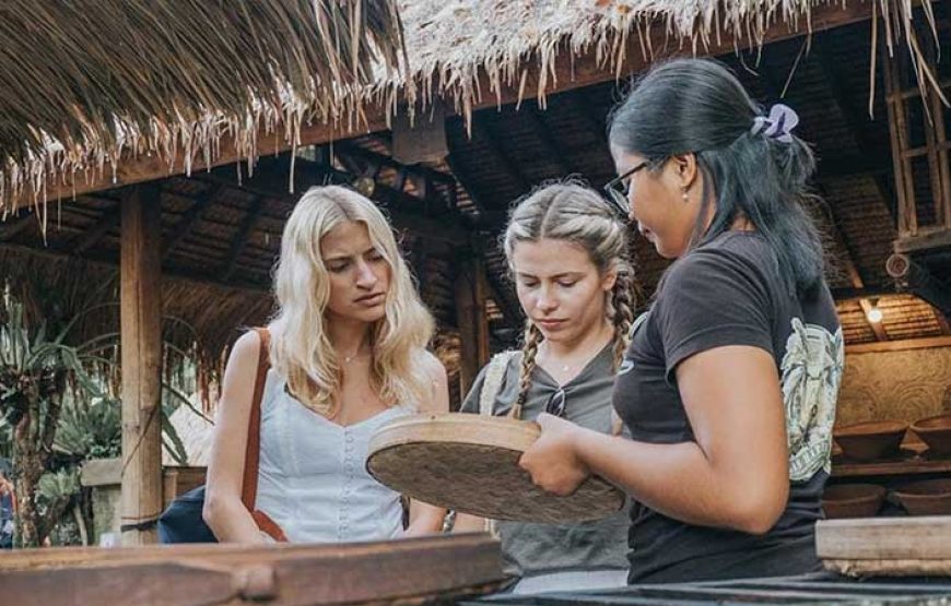 Ubud Waterfall, Rice Terraces and Monkey Forest Tour