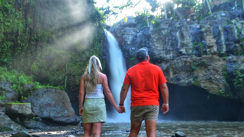 Ubud Waterfall Rice Terraces Monkey Forest Tour