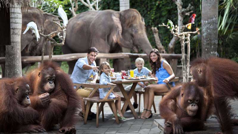 Bali ATV Ride, Breakfast Orangutan and Tlaga Singha Pool Bar