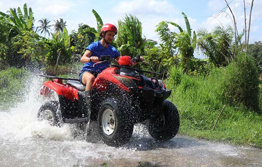 Ubud Quad Bike Adventure and Blue Lagoon Snorkeling