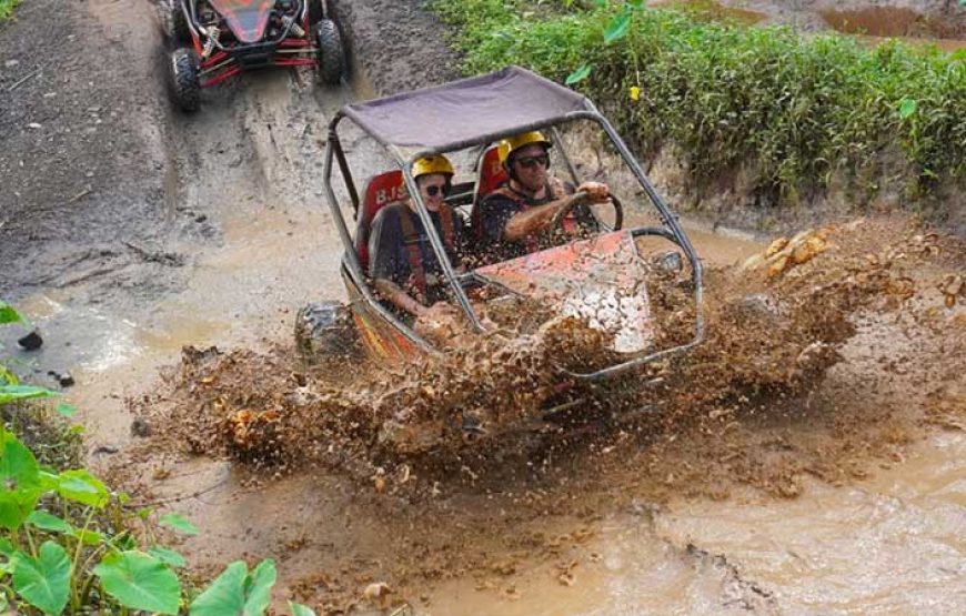 Bali UTV Buggy Ride – The Ultimate UTV Experience