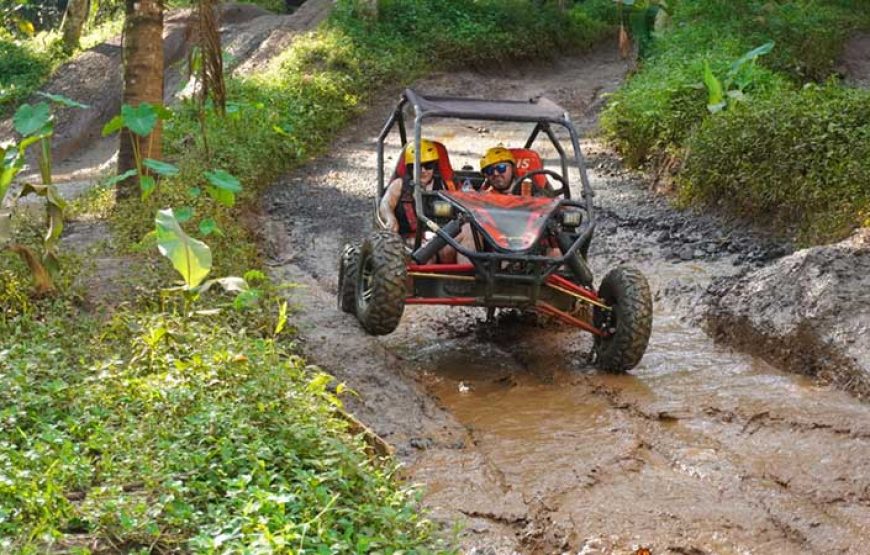Bali UTV Buggy Ride – The Ultimate UTV Experience