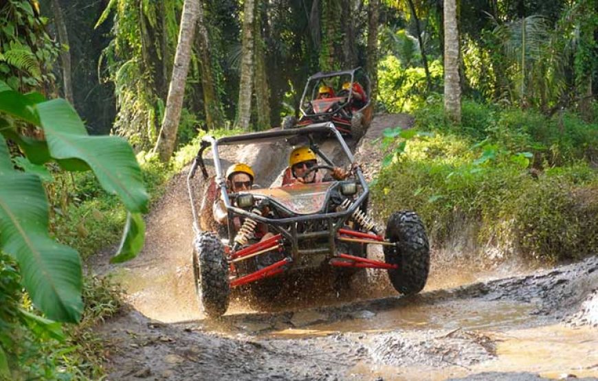 Bali UTV Buggy Ride – The Ultimate UTV Experience