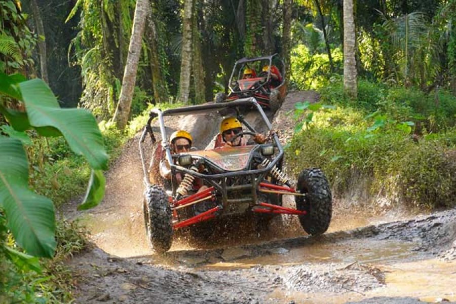 Bali UTV Buggy Ride – The Ultimate UTV Experience