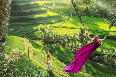 Ubud Monkey Forest, Jungle Swing, Rice Terrace, and Water Temple