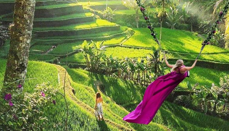 Ubud Monkey Forest, Jungle Swing, Rice Terrace, and Water Temple