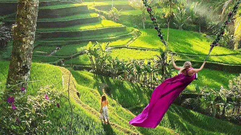 Ubud Monkey Forest, Jungle Swing, Rice Terrace, and Water Temple