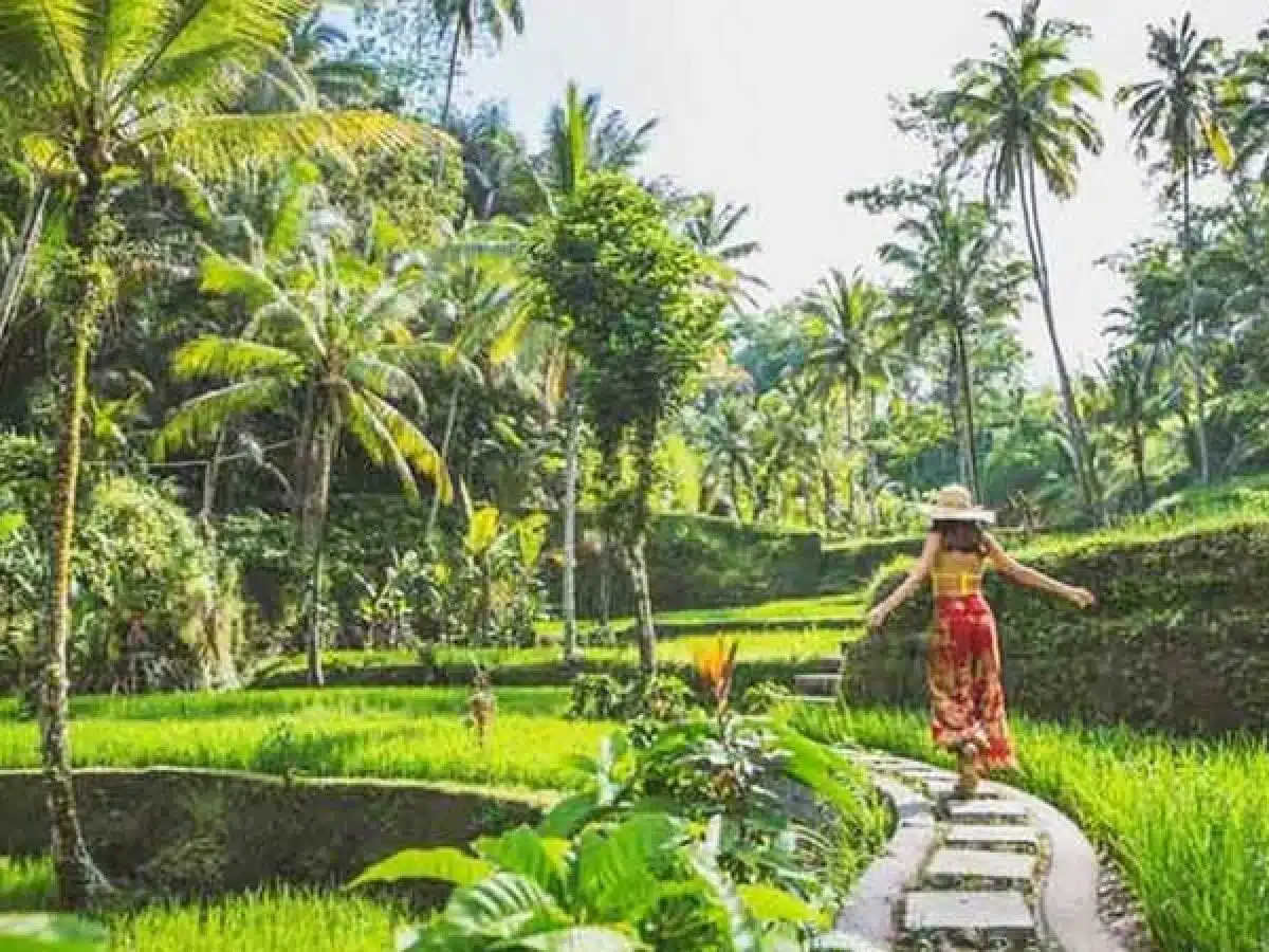 Ubud All-Inclusive Private Day Tour