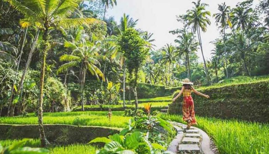 Ubud All-Inclusive Private Day Tour