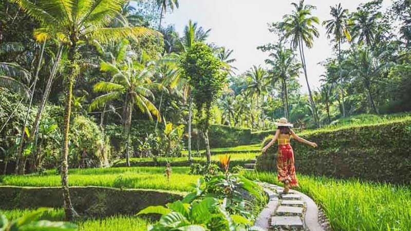 Ubud All-Inclusive Private Day Tour